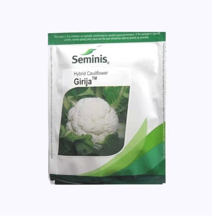Seminis Girija Cauliflower Seeds
